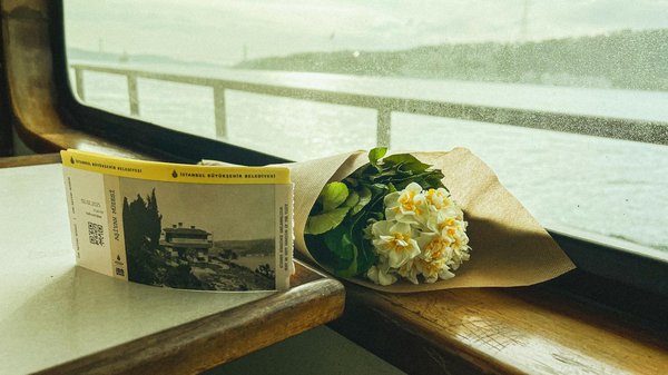 Quels sont les meilleurs spots pour faire de la plongée sous-marine aux Fidji?